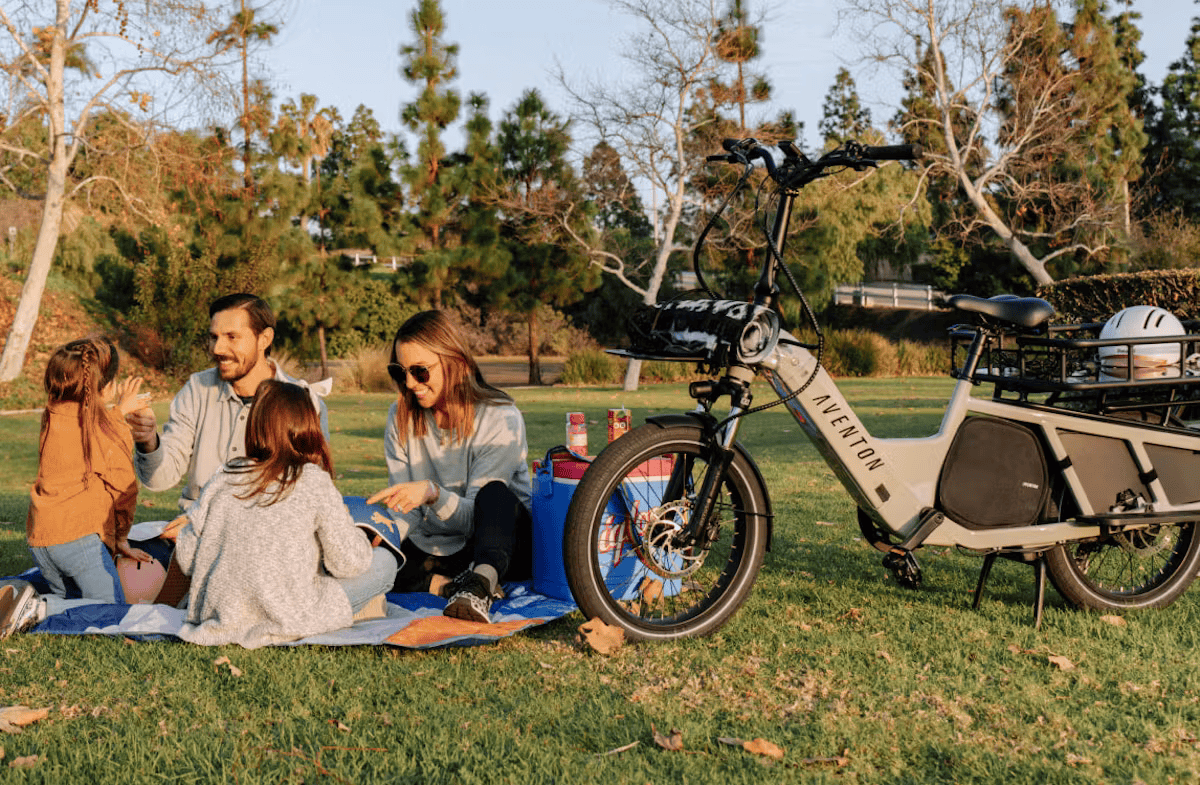 Aventon ABOUND Cargo E-Bike