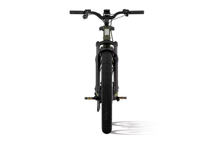 Aventon Aventure.M E-Bike