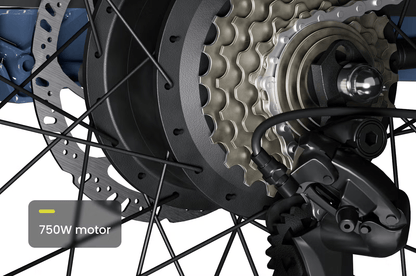 Aventon ABOUND Cargo E-Bike