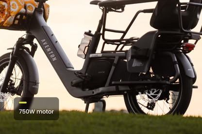 Aventon Abound LR Cargo E-Bike