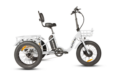 New Trike 2.0